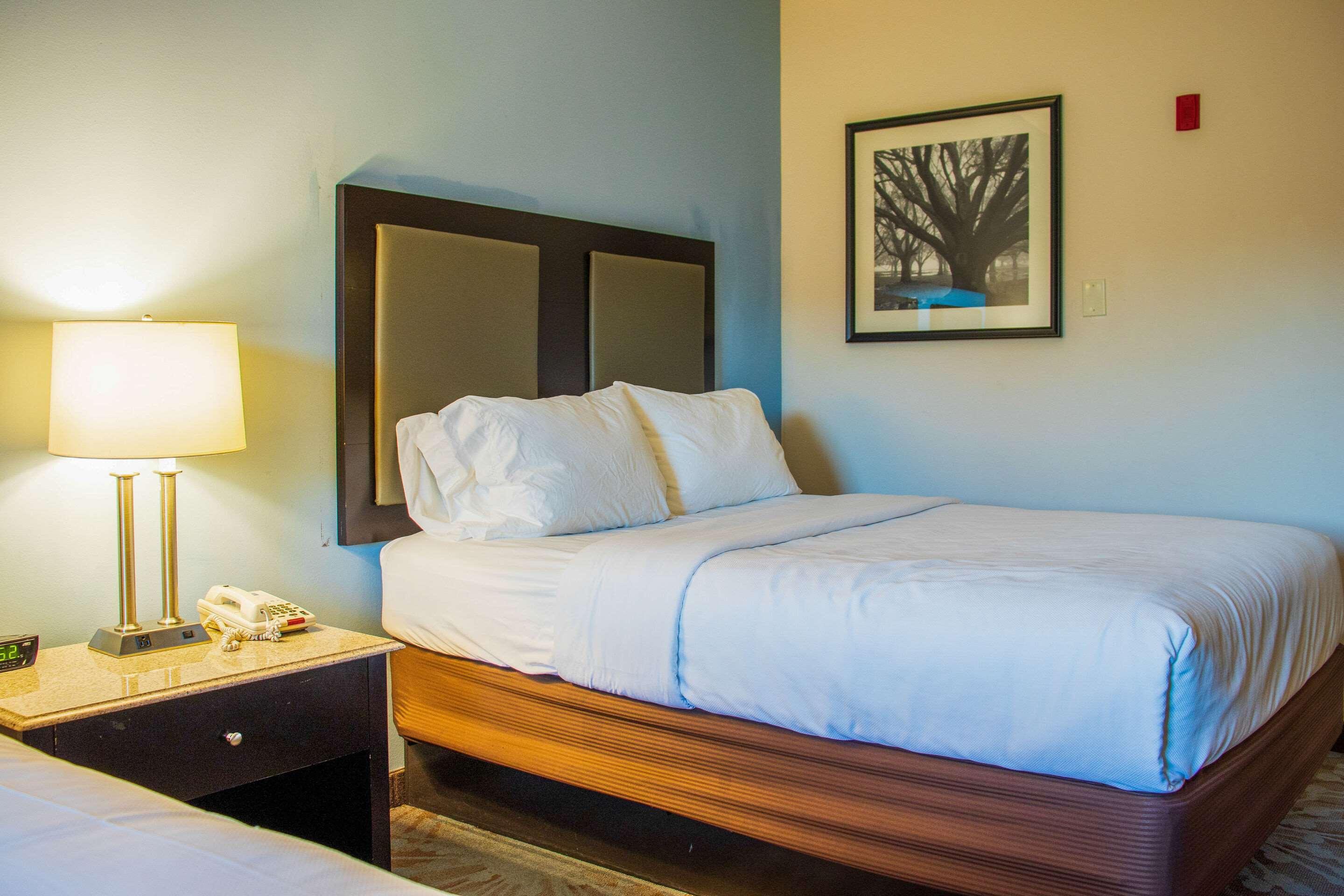 Comfort Inn & Suites Plainville-Foxboro Ngoại thất bức ảnh